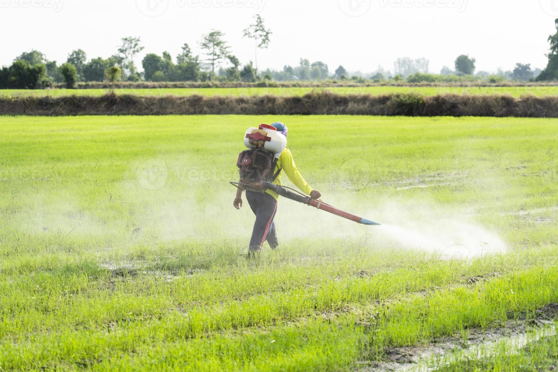 Green Line General Trading